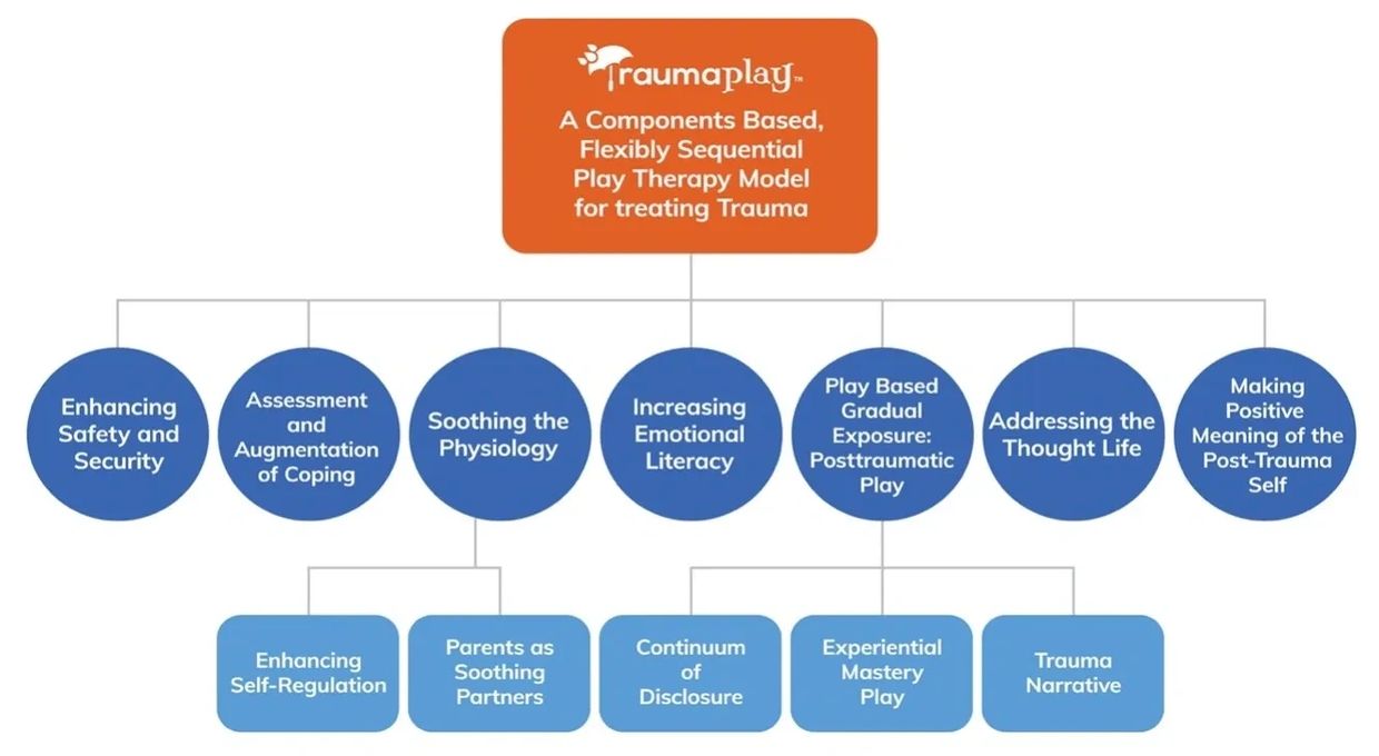 TraumaPlay Model Components