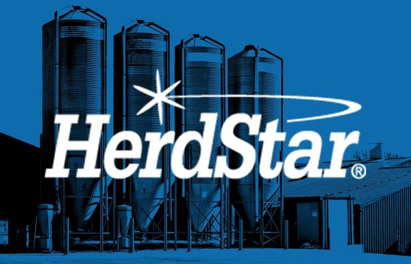HerdStar Logo