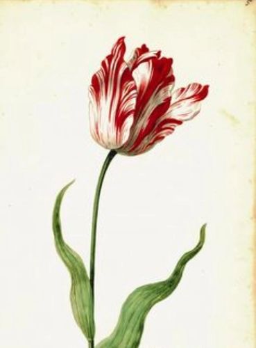image259
