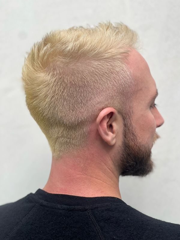 Barber cut and bleach with toner.