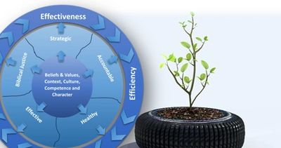 Enhance Global Impact's approach to organisational development