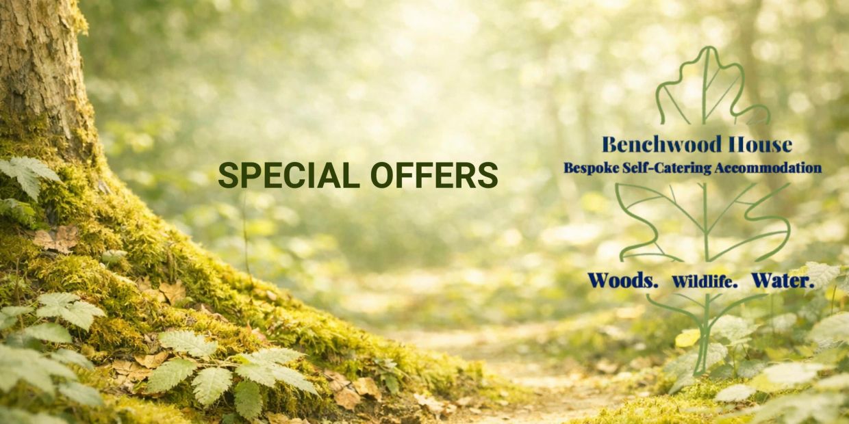 Special offers at Benchwood House in a serene woodland setting.
