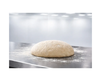 bakery dough ready for dividing and rounding process