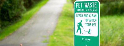 pooper scooper dog poop dog poop removal pet waste removal Pet waste station dog poop bags