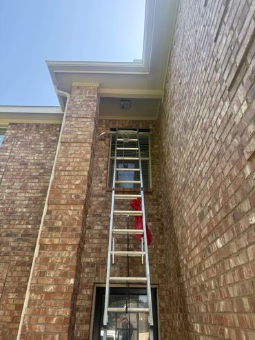 Getting up to the light for Mr T was fun!