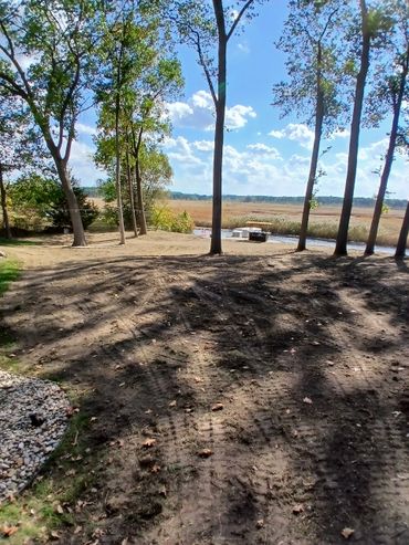 Sunlit riverside clearing with tall trees casting shadows on the ground.