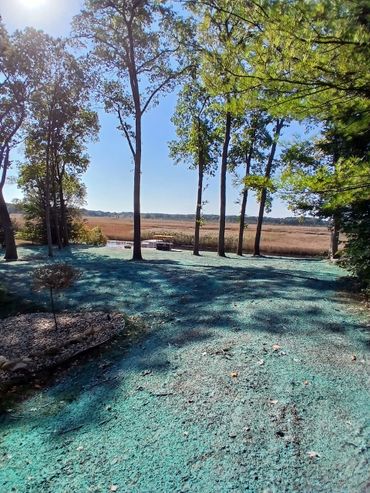 A sunny backyard with trees and a turquoise ground covering near a marsh.