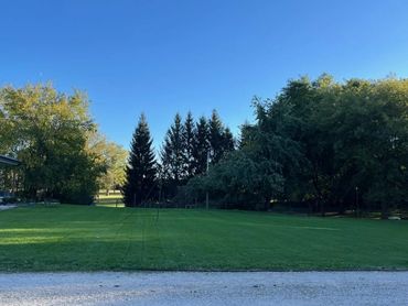 3 weeks after hydro seeding and first mow