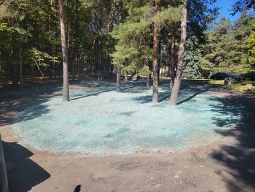 Hydro seed in shade conditions