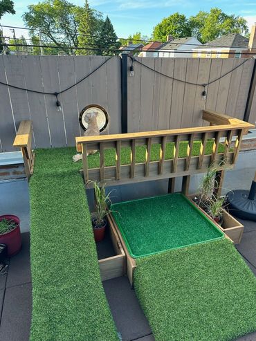 Puppy ramp and deck with lookout window