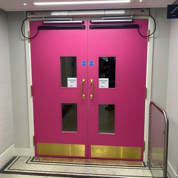 Record DFA Swing Doors with Top Rail Safeties