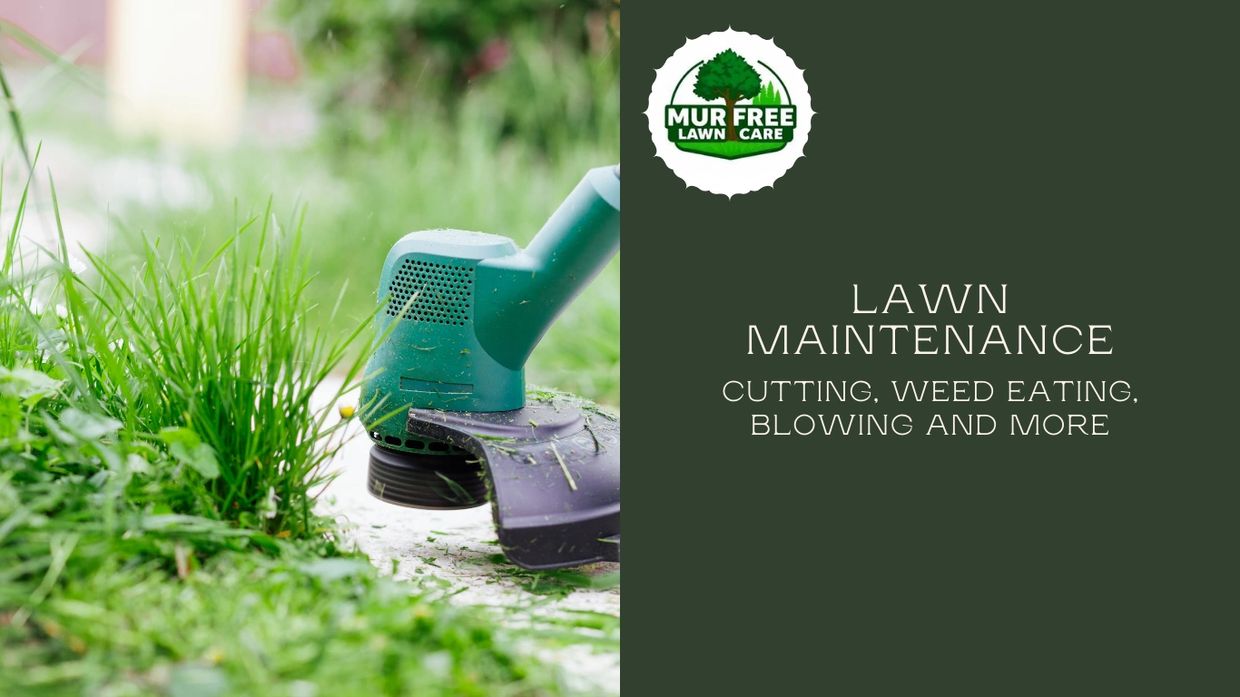 Murfree lawn care services, Lawn Maintenance, Cutting, Weed Eating, Blowing and More.