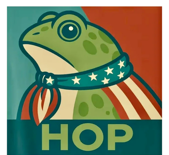Graphic of a frog with a star & strips scarf on with the words HOP. Portland, OR inspiration!
