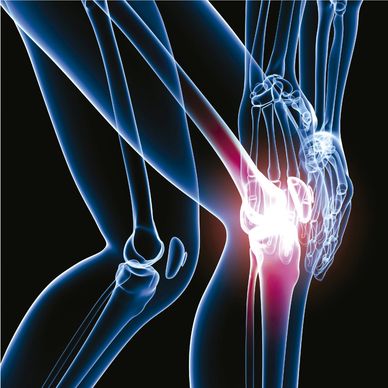 Prostrolane Intra Articular 2