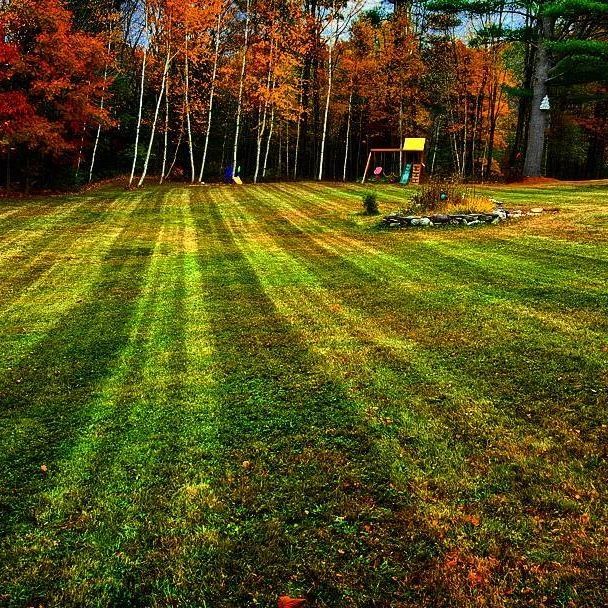 Maine Lawn CAre Maine Lawn Care
