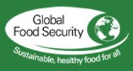 Global Food security logo
