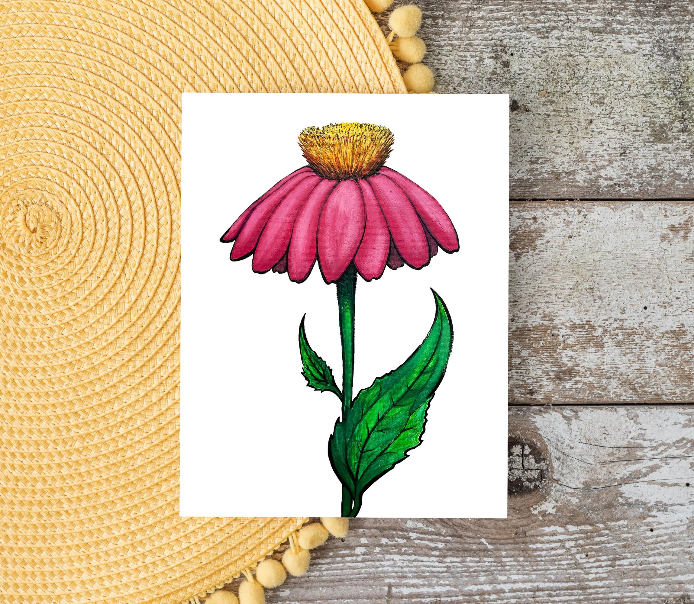 Pink Echinacea Flower Greeting Card