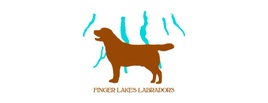 Finger Lakes Labradors 
"Where Labs are Family"