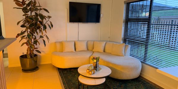 Cozy living room with beige curved sofa and large window.