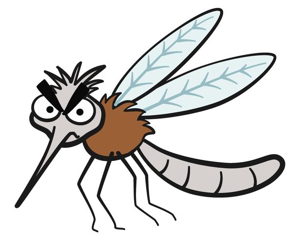 Cartoon of Mosquito 