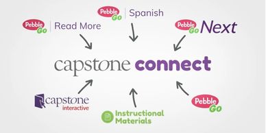 Graphic showing Capstone Connect components.