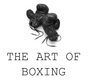 The Art of Boxing TRAINING Studio