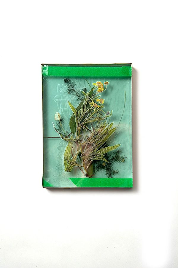 North Arm Cove, engraved, float glass, pressed botanicals and tape, by Bethany Wheeler.