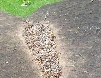 This gap was probably created by a pop-up nail or a squirrel. Water can access your home here.