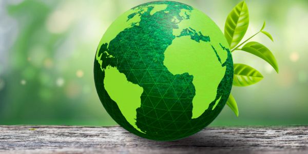 Green earth globe with leaves symbolizing environmental care.
