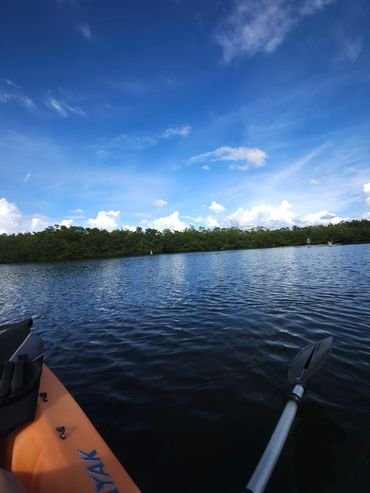 Kayak rentals Sarasota, FL
Kayak rentals Bradenton, FL
Kayak rentals Anna Marie, FL