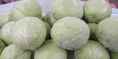 Local Ontario Cabbage