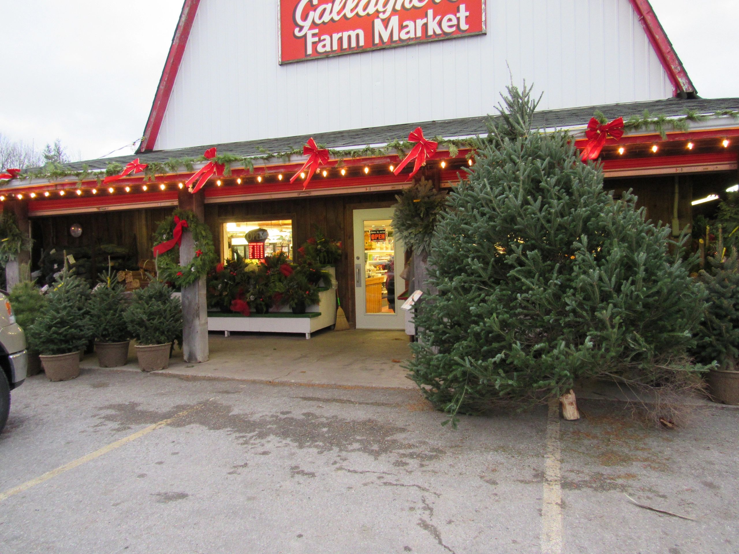 Produce Gallagher's Farm Market