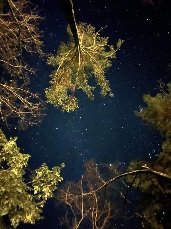Swanzey Night Sky