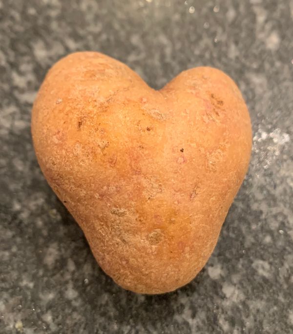 Potato Heart