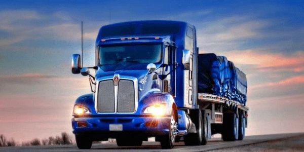 The Traffic Department