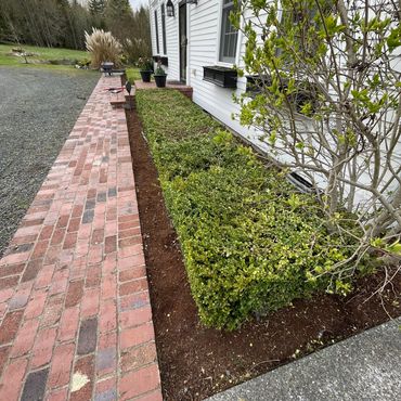 flower trimmed by us