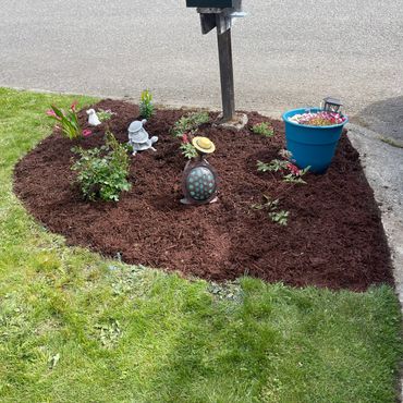 flower planted by us