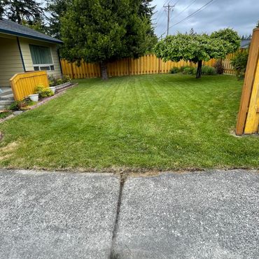 beautiful law mow by us