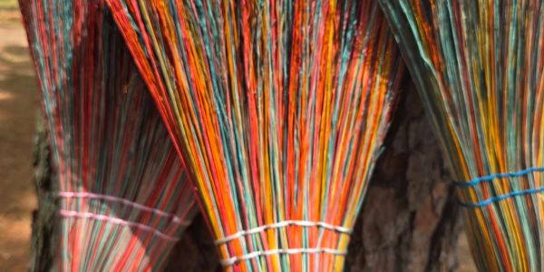 Colorful brooms hanging on a tree.