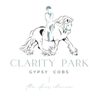 Clarity Park Gypsy Cobs