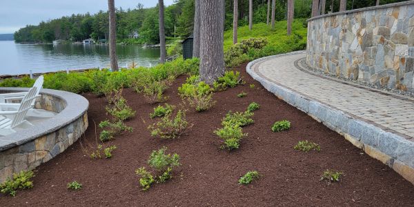 Newly planted shrubs on a sloped garden near a lake and stone walkway.