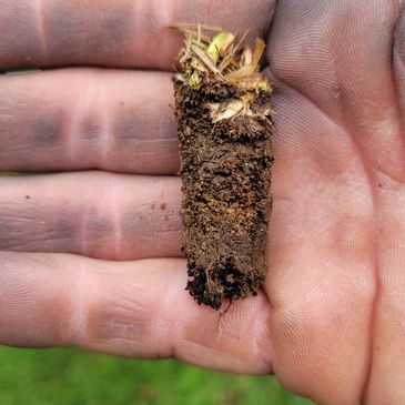 Close-up of a soil sample on a hand.
