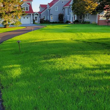 Well-maintained green lawn in front of houses.