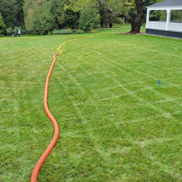 Long orange hose on green grass lawn.
