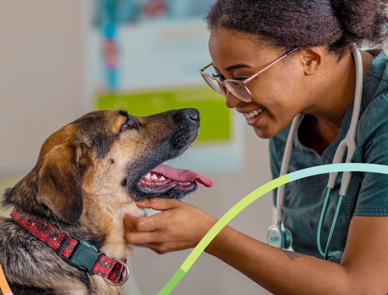 Veterinarian smiling while examining a happy dog.