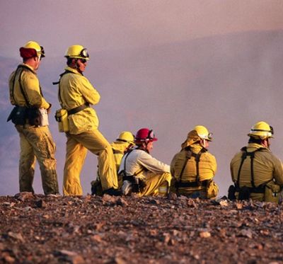 U.S. Forest Service and firefighters success with poison oak