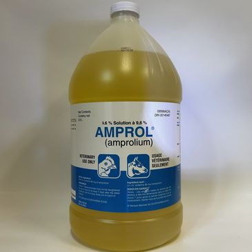 A large container of Amprol (amprolium) solution for veterinary use.