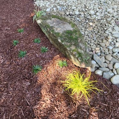 Garden with rocks, mulch, and small plants.