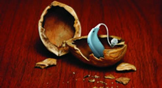 Modern hearing aid in a nut