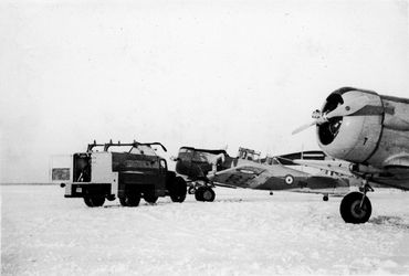 North American Harvards